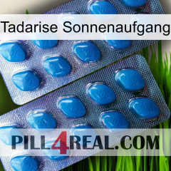 Tadarise Sunrise viagra2